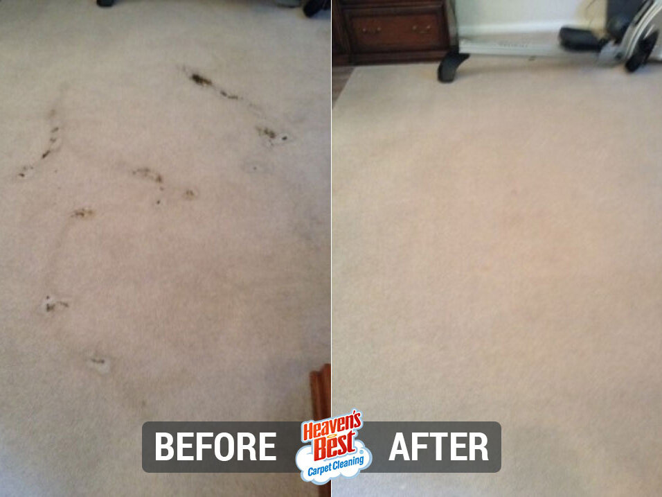 Heaven's Best Carpet Cleaning of Simi Valley