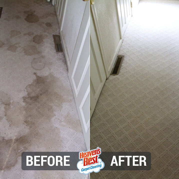 Heaven's Best Carpet Cleaning of Simi Valley